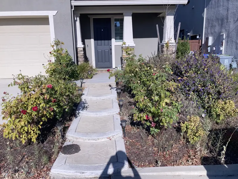Front walkway after EDH Landscaping service