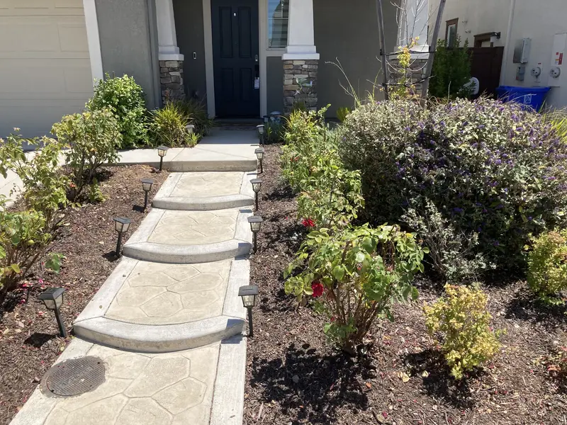 Overgrown front walkway before EDH Landscaping